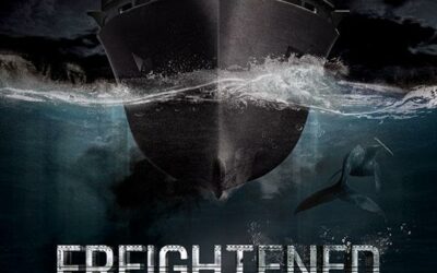Freightened. El preu real del transport marítim